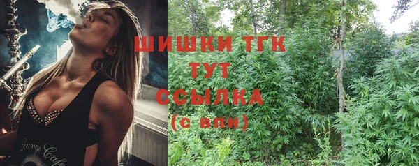 PSILOCYBIN Аркадак