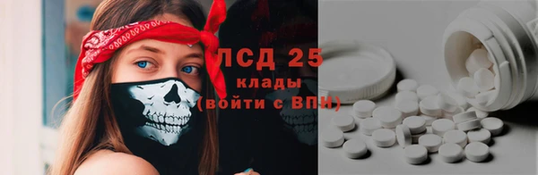 PSILOCYBIN Аркадак