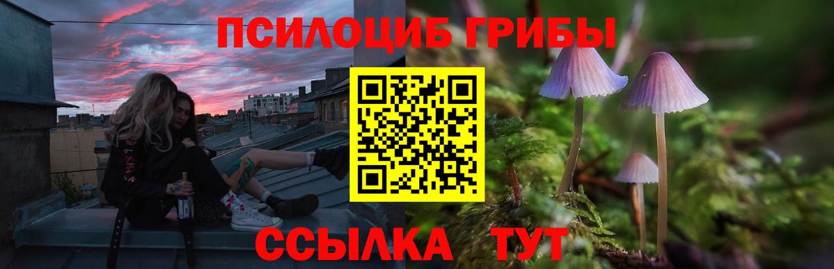 Псилоцибиновые грибы Psilocybine cubensis  Псилоцибиновые грибы Magic Shrooms  Вход с VPN  купить закладку  Карачаевск 