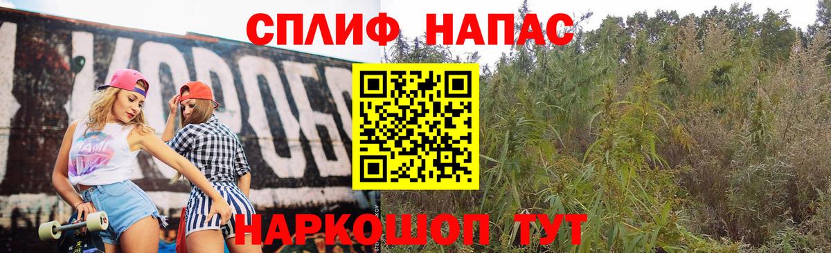 Марихуана OG Kush Карачаевск